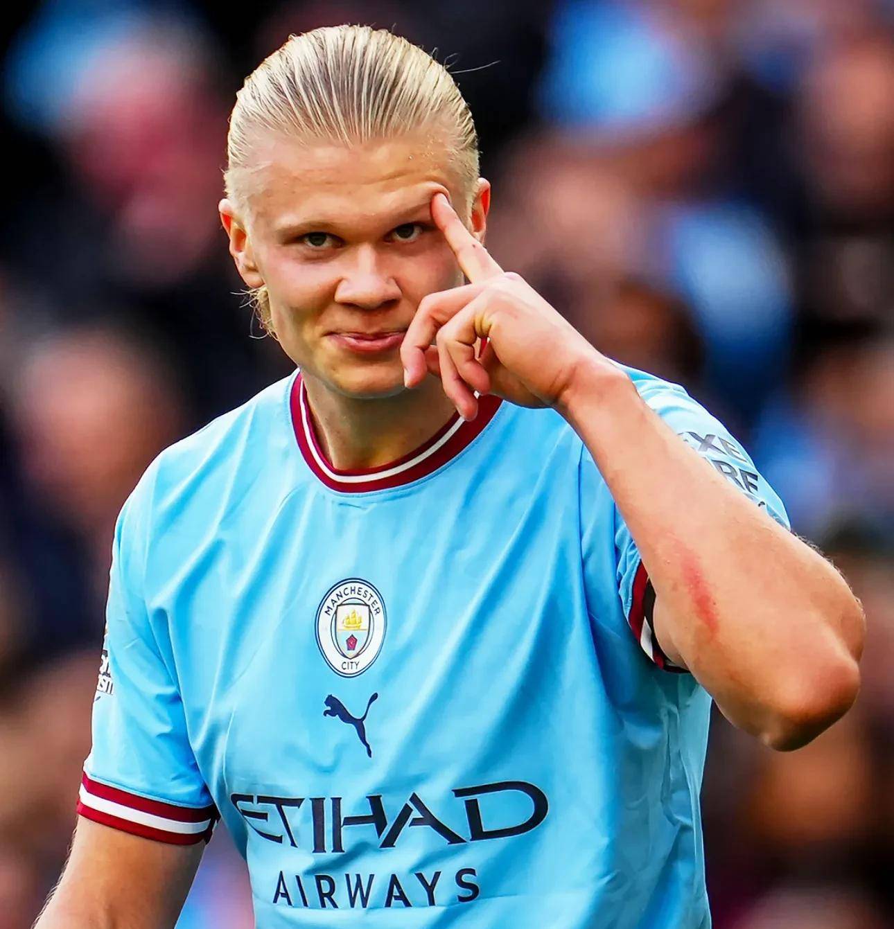 参照近年强 参照近年强